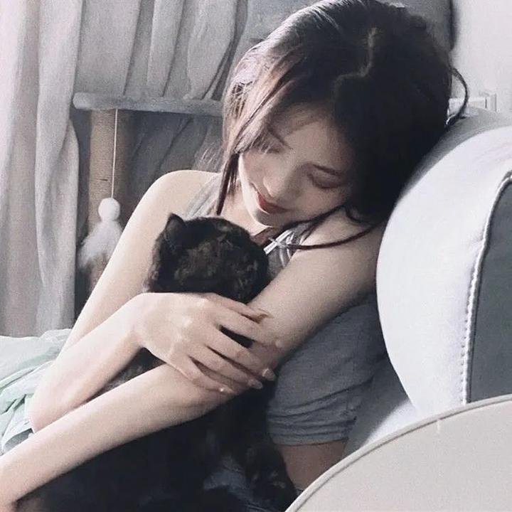 真由美 在线观看